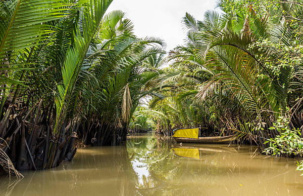 istock Mekong Delta in Vietnam 494003902