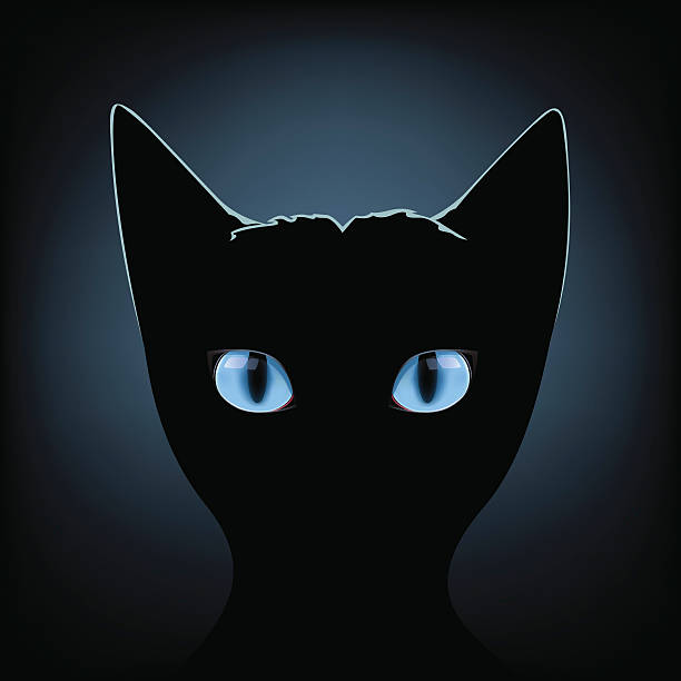 черный cat blue eyes - undomesticated cat pets animal watching stock illustrations