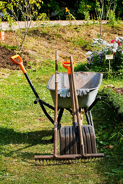 istock Gardening tools in the garden 494004838