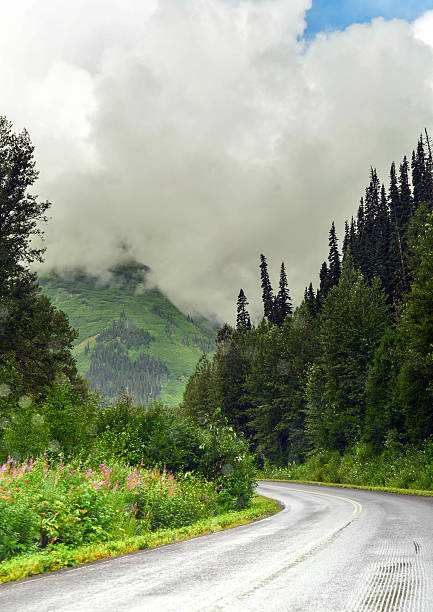 istock Cassier Highway in a lonely section of Canada 494023070