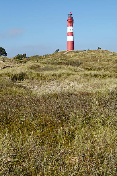 istock Amrum (Germany) - Lighthouse in the sand dunes 494024364
