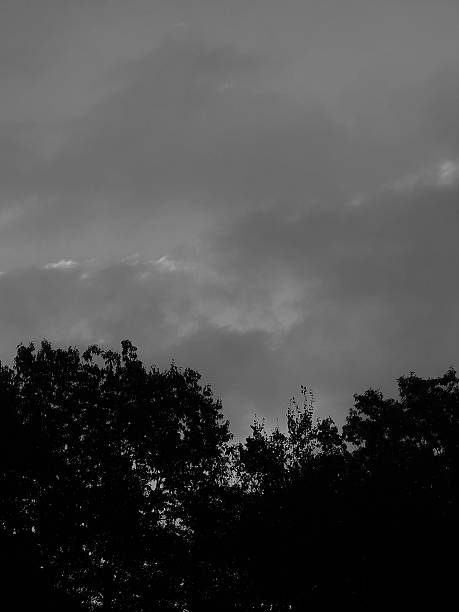 istock Black and White Photograph - 