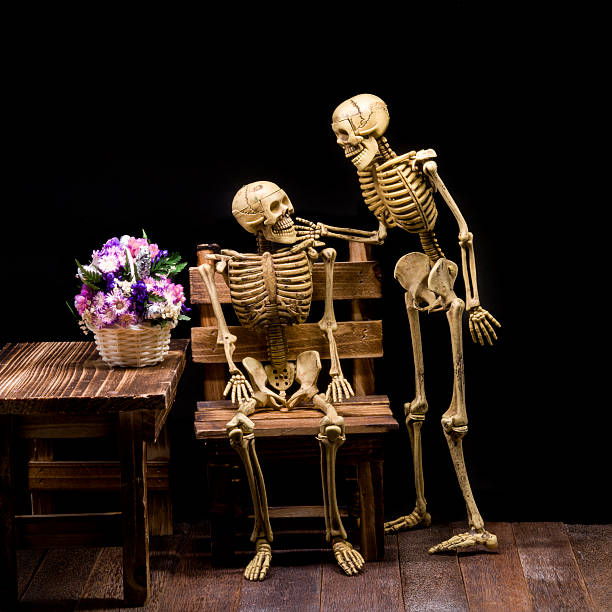 istock Still life of model skeleton in Halloween concept 494024776