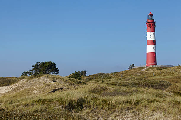 istock Amrum (Germany) - Lighthouse in the sand dunes 494025218