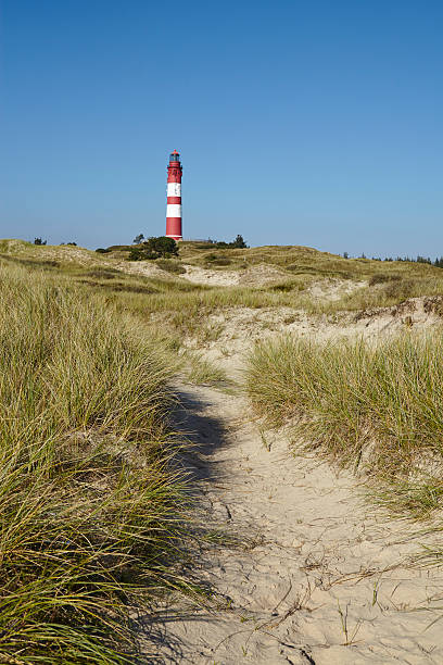 istock Amrum (Germany) - Lighthouse in the sand dunes 494026130