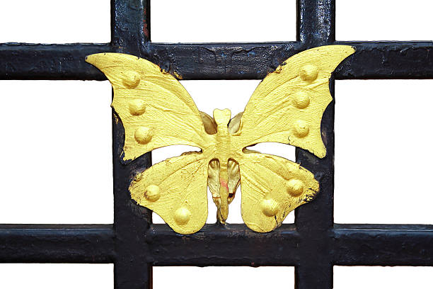 Iron Butterfly On Steel Cage Stock Photo - Download Image Now
