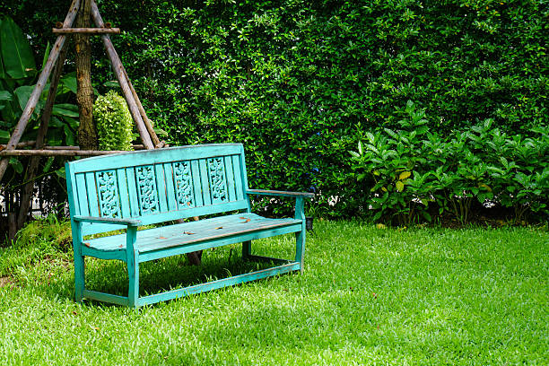 istock vintage bench in grass garden from low angle shot 494029738