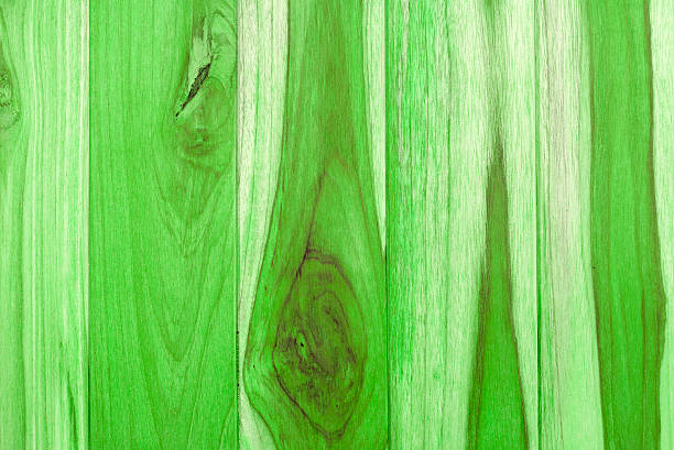 istock Abstract background of green wood wall 494030318