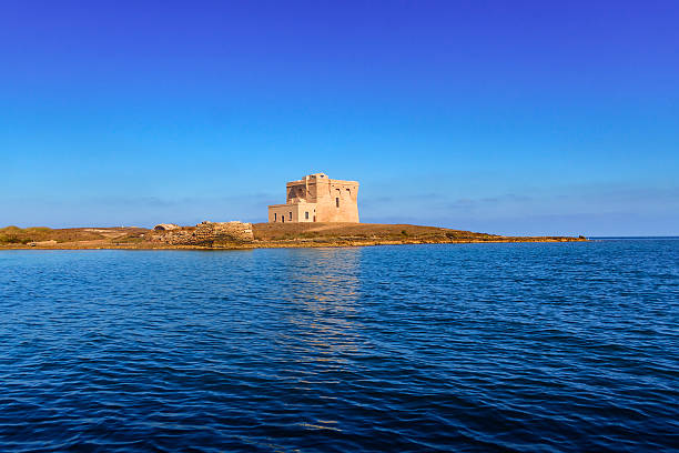 summer.mediterranean maquis: ein naturreservat des torre guaceto.brindisi (-italy- apulia - italy adriatic sea summer europe stock-fotos und bilder