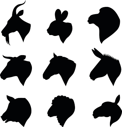 Vector illustrations of farm animals heads silhouettes set