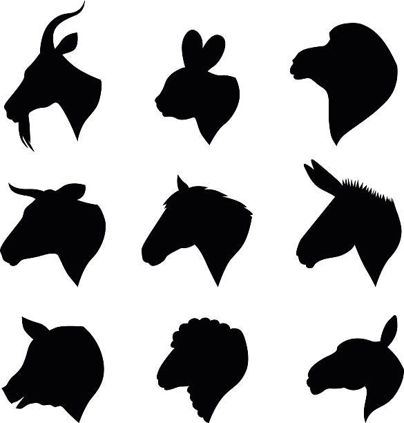 Farm animals heads set Vector illustrations of farm animals heads silhouettes set horse head vector stock illustrations