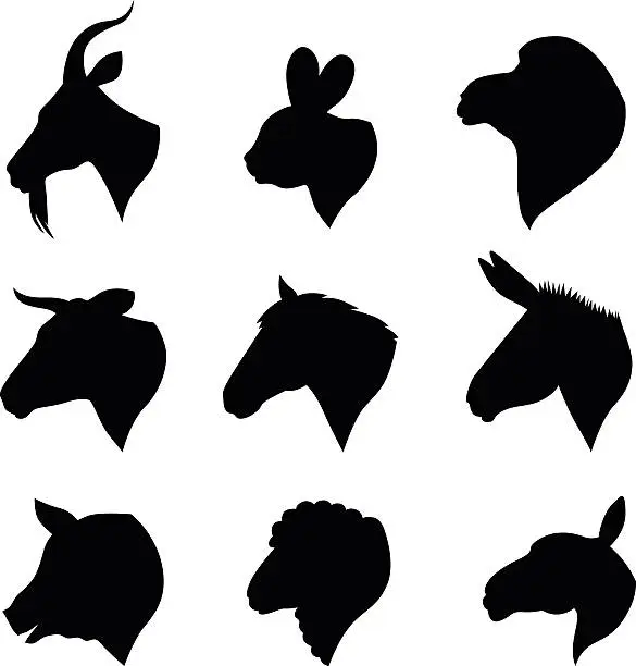 Vector illustration of Farm animals heads set