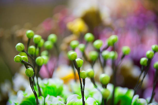Details fake flowers on the abstract background blurred.