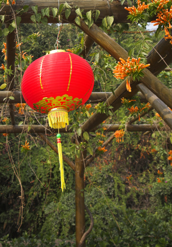 Traditional red New Year's spheres in the Chinese park of entertainments