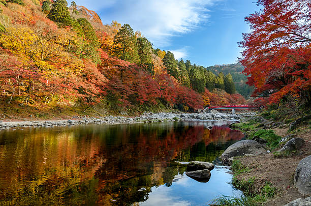 istock Colorful Autumn Leaf and River with blue sky 494035906