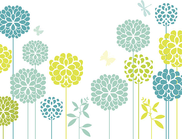 blue złocień - chrysanthemum single flower flower pattern stock illustrations