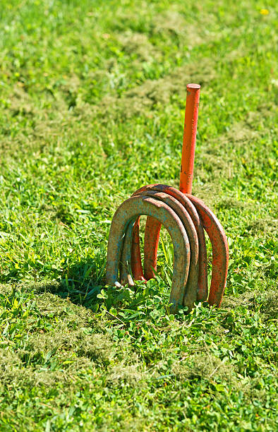 istock Horse shoe game on lawn 494037781