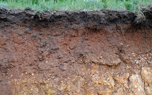 istock Details of layers of soil under ground surface 494038092