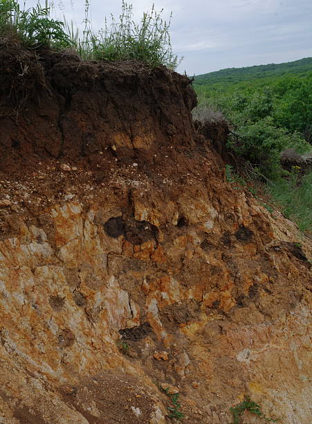 istock Details of layers of soil under ground surface 494038112