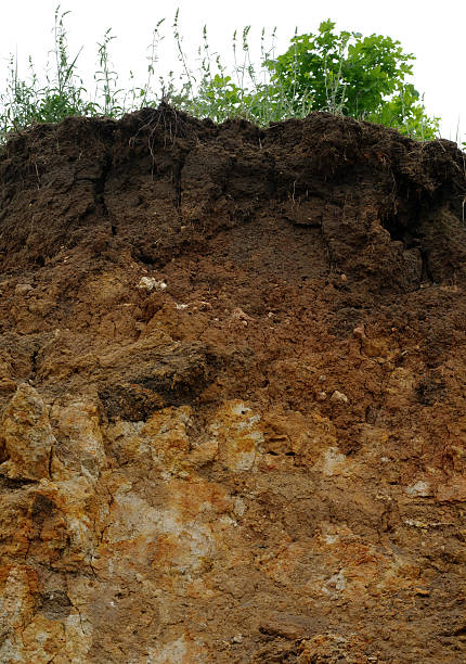 istock Details of layers of soil under ground surface 494038128