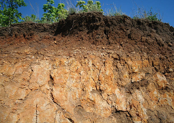 istock Details of layers of soil under ground surface 494038150