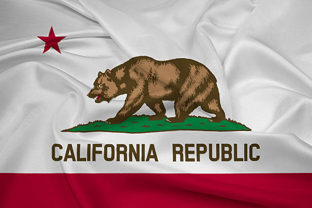 istock Waving California State Flag 494040679