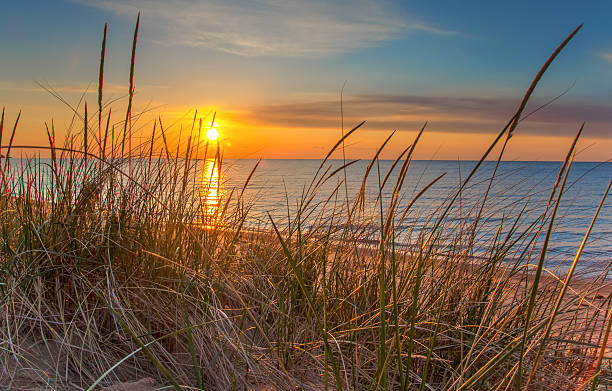 alba di un nuovo giorno. - sand beach sand dune sea oat grass foto e immagini stock