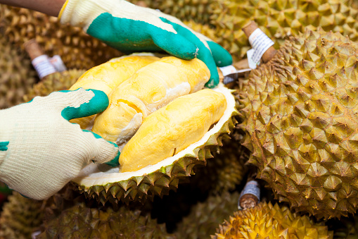 Worker opening Durian