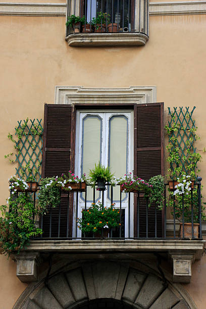 istock Flowers on a european window 494041691