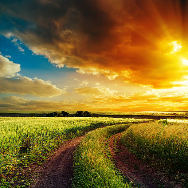 good sunset over winding road in field