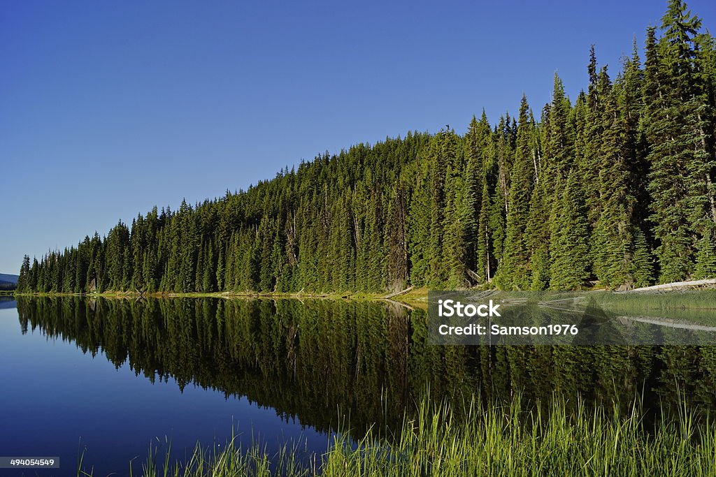 Sparks Lake Forest Central Oregon's Cascade Range. Cascade Range Stock Photo