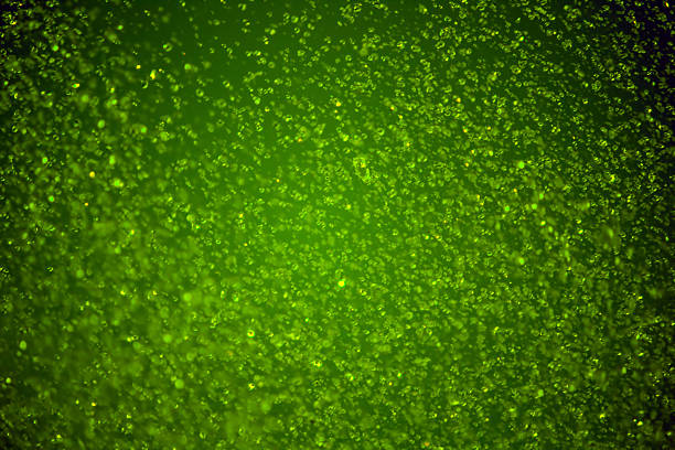 istock green water droplets from the sky on background 494055224