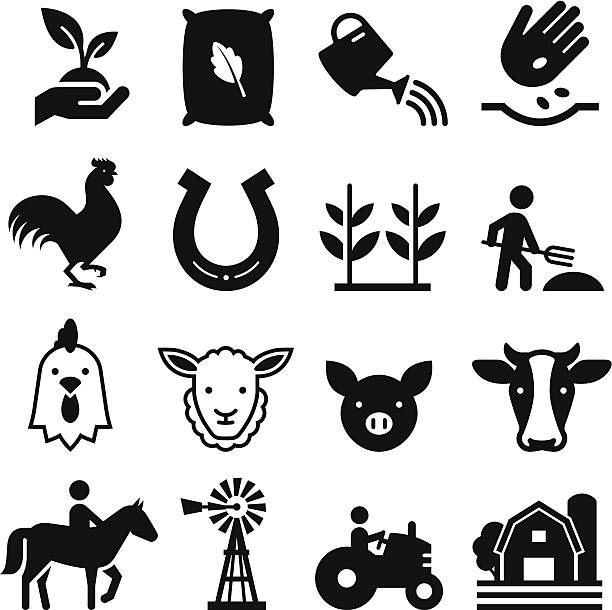 Farm Icons - Black Series Farm and agricultural icons. Professional vector icons for your print project or Web site. See more in this series.  pig silhouettes stock illustrations