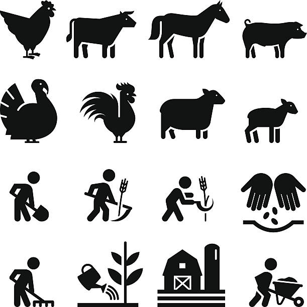 landwirtschaft icons- schwarz-serie - lamb stock-grafiken, -clipart, -cartoons und -symbole
