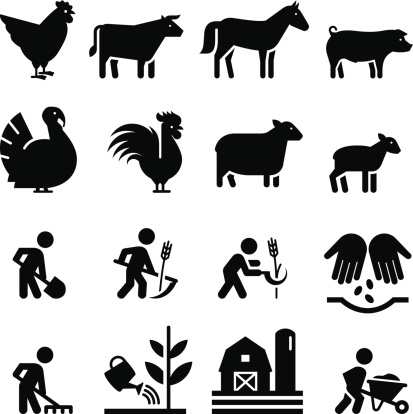 Farming, animal and other agricultural icons. Professional vector icons for your print project or Web site. See more in this series. 