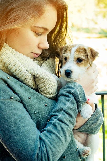 Teen and her Jack Russell puppy stock photo