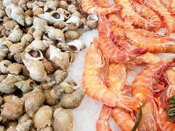 istock Shrimps And Cockles 494056547