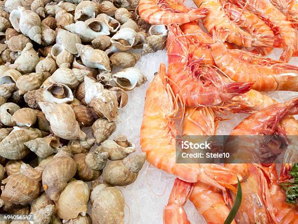 Shrimps And Cockles Stock Photo - Download Image Now - Animal Shell, Beige, Collection