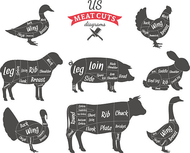 american (us) meat cuts diagrams - kesmek stock illustrations