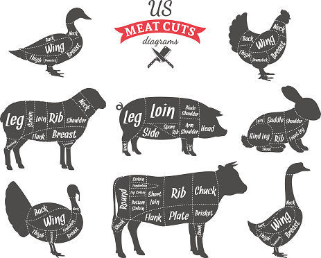 American (US) cuts of beef, pork, lamb, rabbit, chicken, duck, goose and turkey diagrams