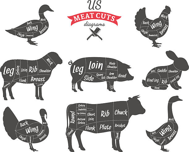 American (US) Meat Cuts Diagrams American (US) cuts of beef, pork, lamb, rabbit, chicken, duck, goose and turkey diagrams pig silhouettes stock illustrations