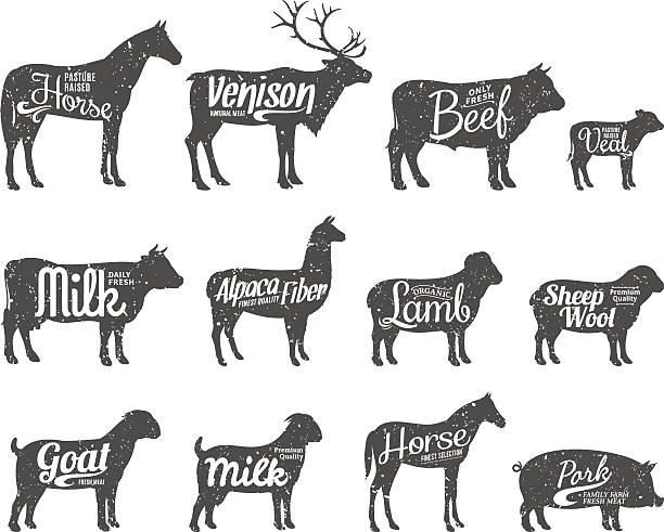 Livestock Silhouettes Collection Livestock Labels Templates Stock Illustration - Download Image Now - iStock Livestock Silhouettes Collection Livestock Labels Templates Stock Illustration - Download Image Now - iStock