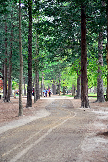 Forward on the path stock photo