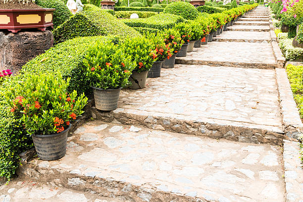 istock beautiful walkway in the garden 494058599