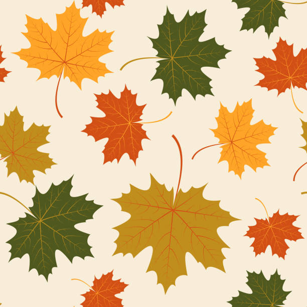 ilustrações, clipart, desenhos animados e ícones de vetor sem costura com outono folhas de plátano - distressed organic autumn backgrounds