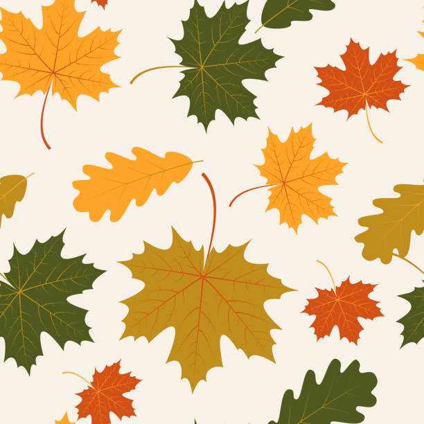 ilustrações, clipart, desenhos animados e ícones de vetor sem costura com outono folhas de carvalho e bordo - distressed organic autumn backgrounds
