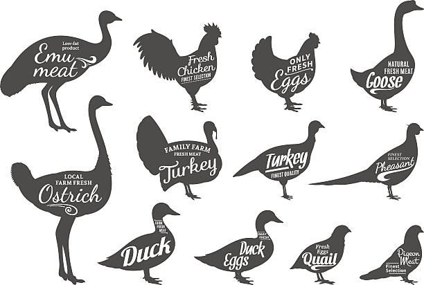 ilustraciones, imágenes clip art, dibujos animados e iconos de stock de colección de siluetas de aves, carnes etiquetas plantillas - codorniz en las granjas locales