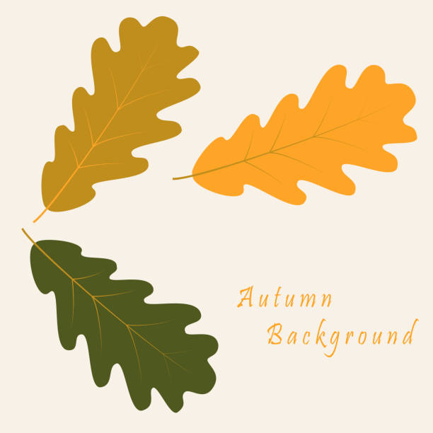 ilustrações, clipart, desenhos animados e ícones de abstrato fundo com folhas de outono de carvalho - distressed organic autumn backgrounds