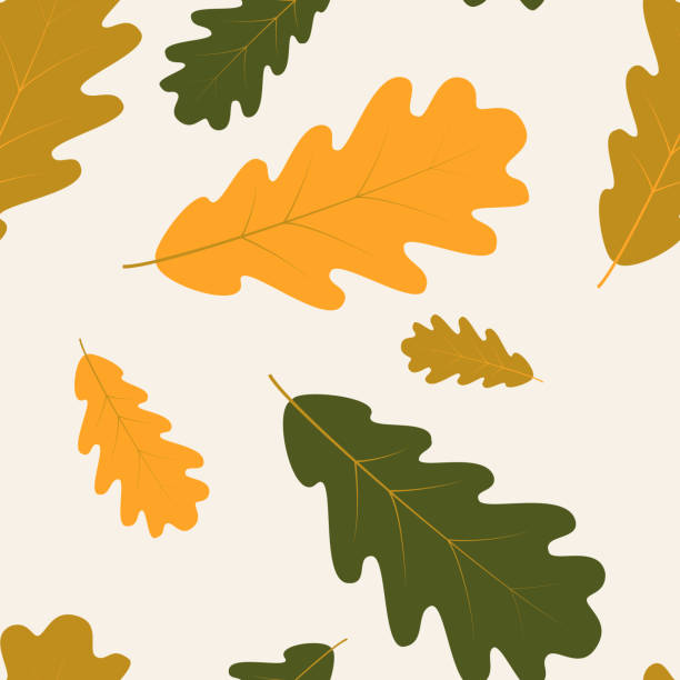 ilustrações, clipart, desenhos animados e ícones de vetor sem costura com folhas de outono de carvalho - distressed organic autumn backgrounds