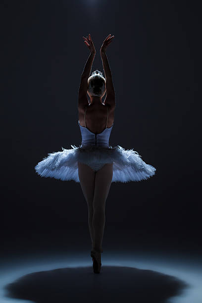 porträt der ballerina in ballett tatu auf dack hintergrund - female silhouette beautiful professional sport stock-fotos und bilder